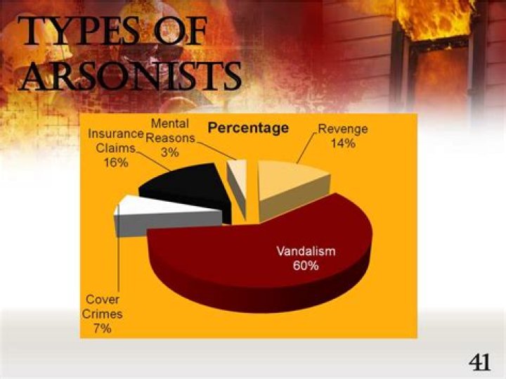 Are arsonists usually male?