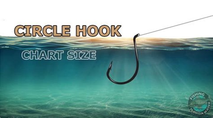 Are circle hooks good for live bait?