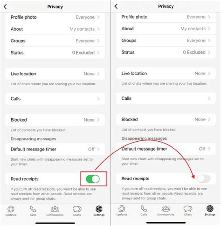 Can a recipient on WhatsApp have read my message even though the ticks remain grey?