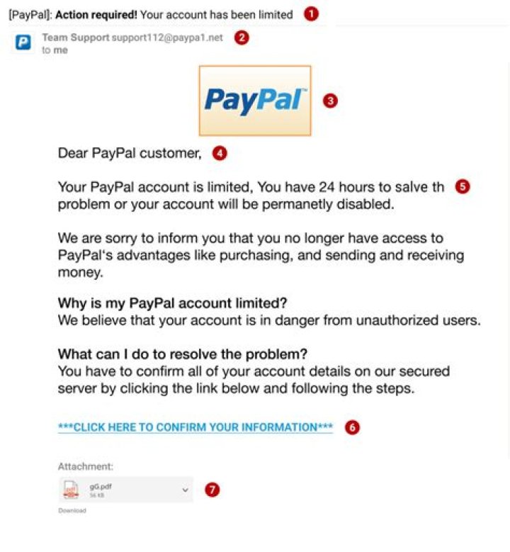 Can a scammer use PayPal?