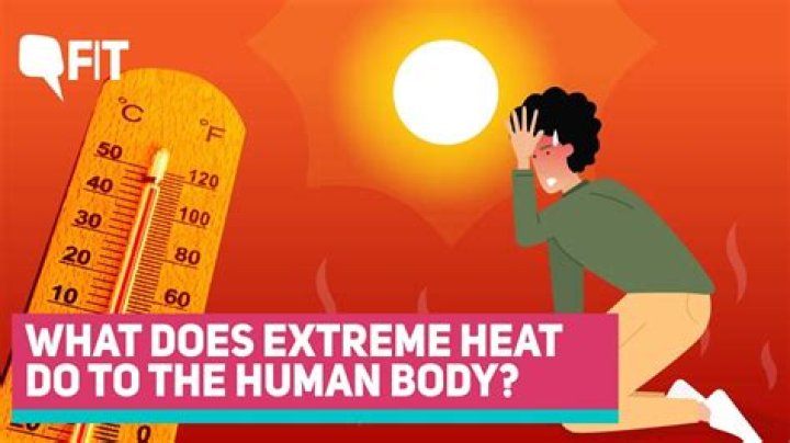 Can humans go in heat?
