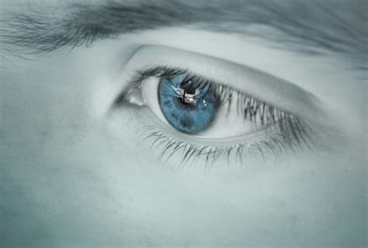 Can humans see forbidden colors?