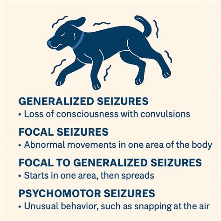 Can I have a seizure and not know it?