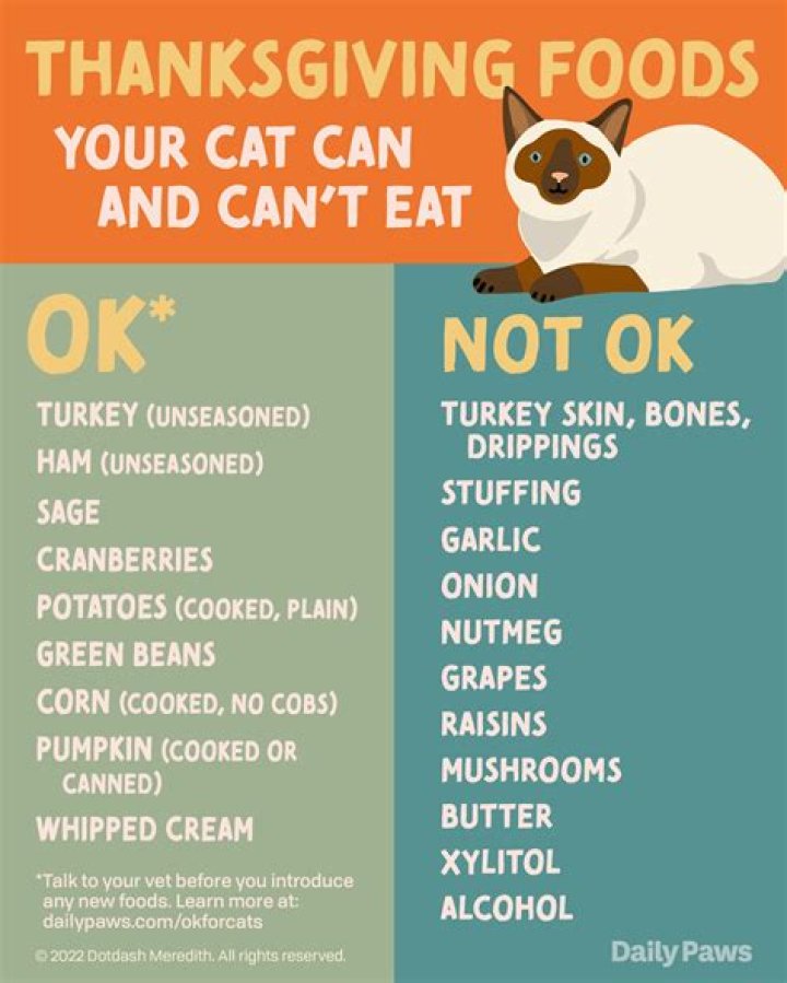 Do cats like getting wet?