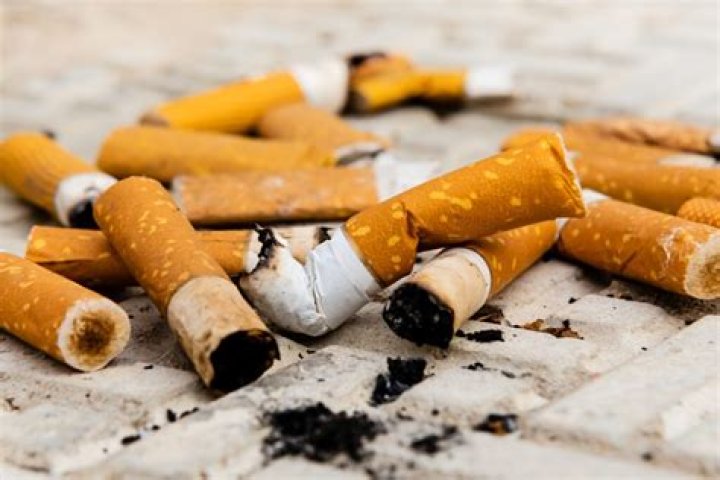 Do cigarette butts decompose?