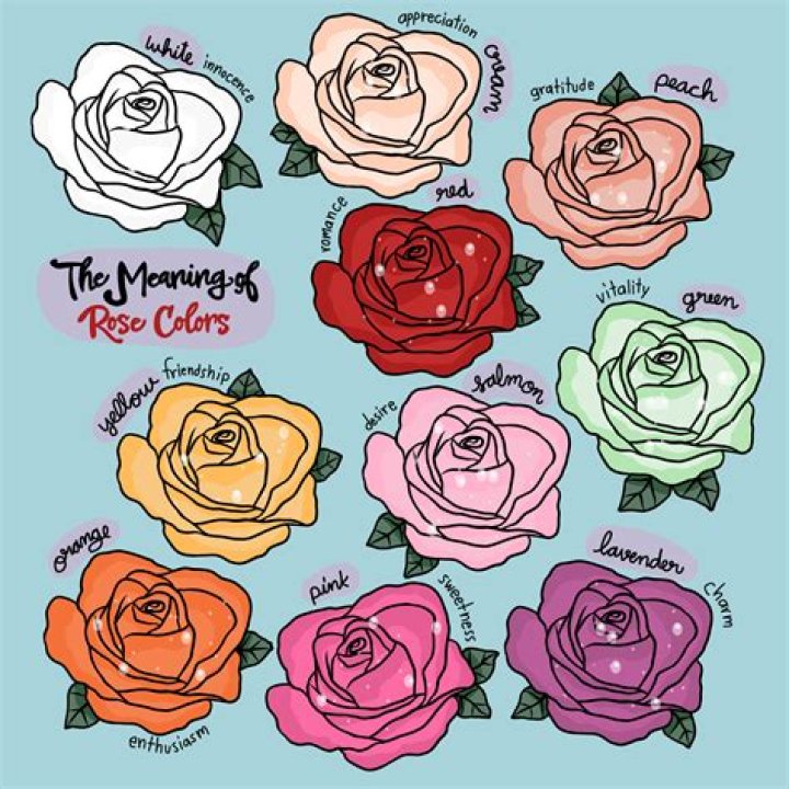Do purple roses mean death?