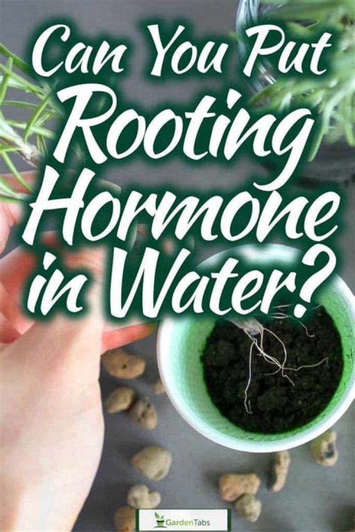 Do you water after using rooting hormone?