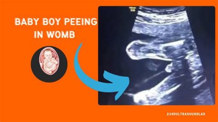 Does baby pee in womb?