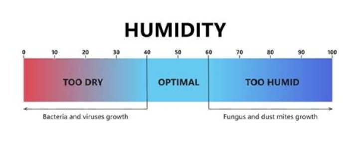 Does ecobee show indoor humidity?