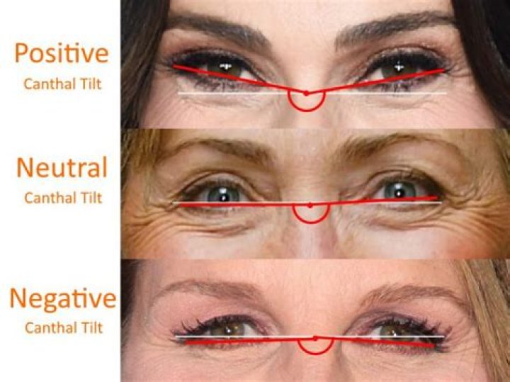 How can you tell if you have Native American features?