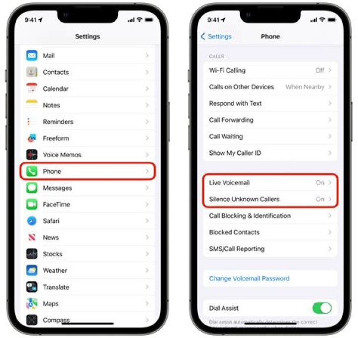 How do I check the band on my iPhone 11?