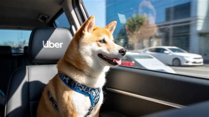 How do I request an Uber pet friendly?
