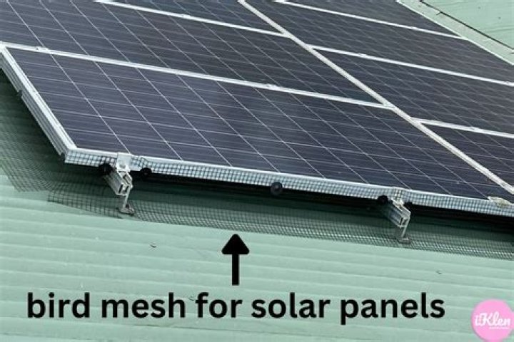 How do you clean bird poop off solar panels?