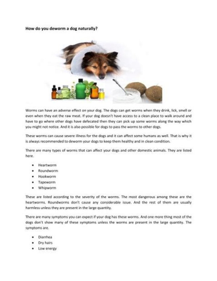 How do you deworm a dog naturally?