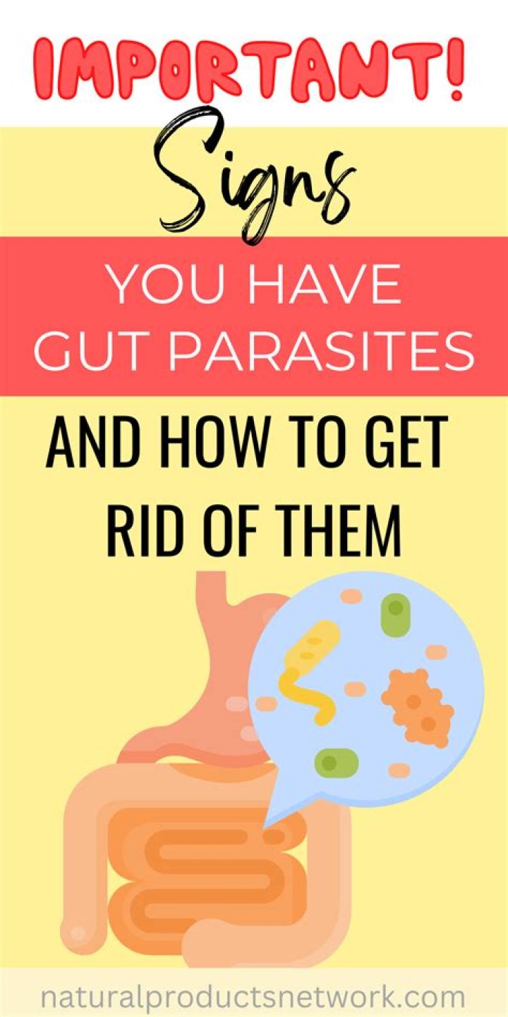 How do you get rid of parasites in your stomach?