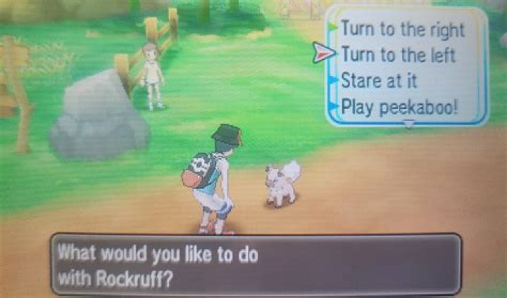 How do you get Rockruff in sword without DLC?