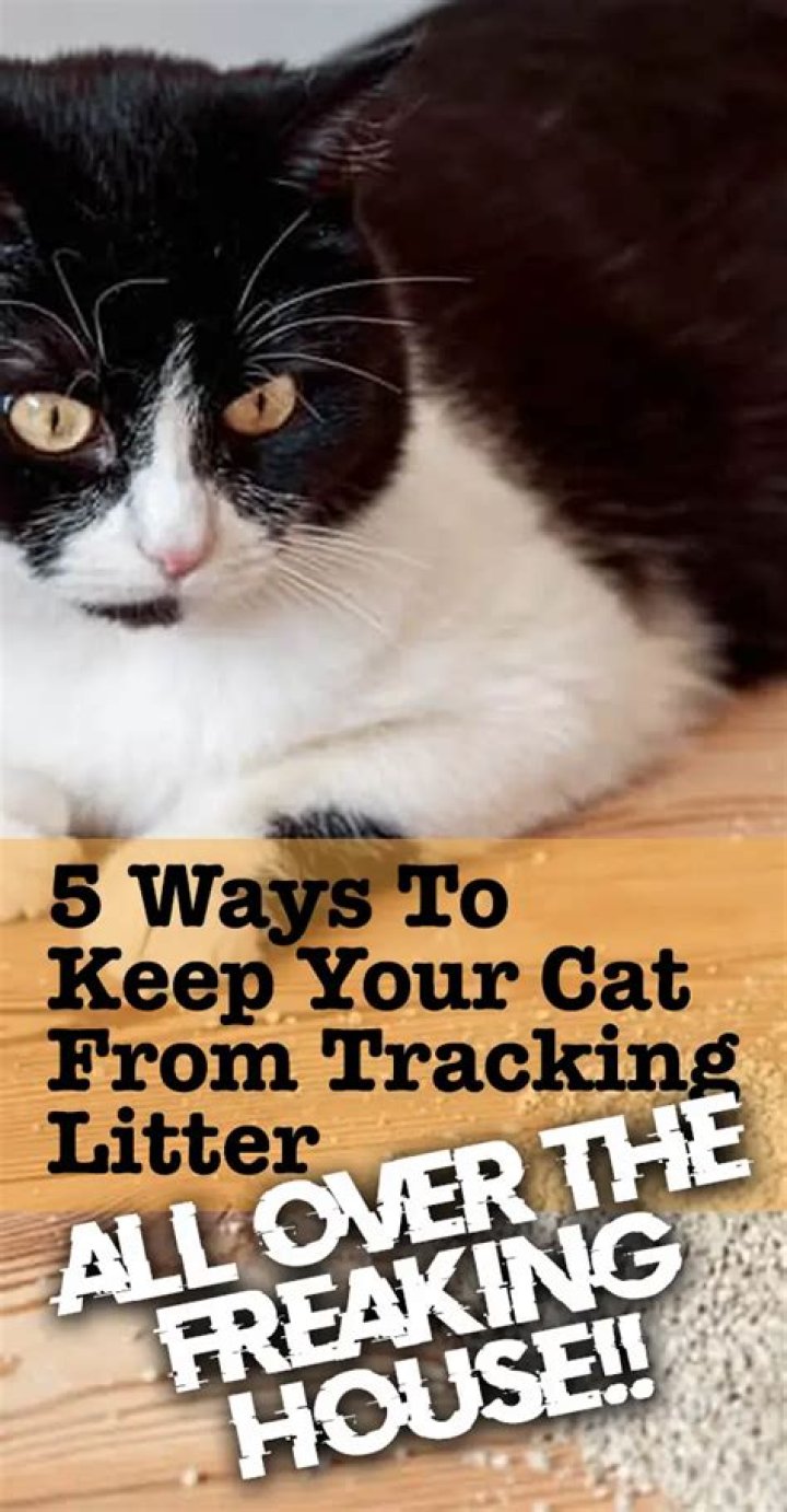 How do you keep cat litter from tracking all over your house?