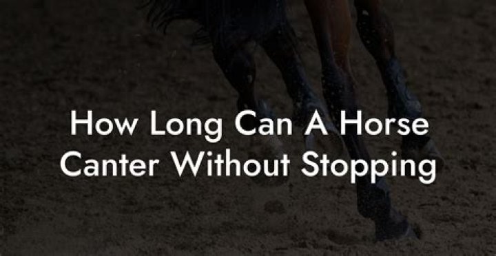 How long can a horse be left alone?