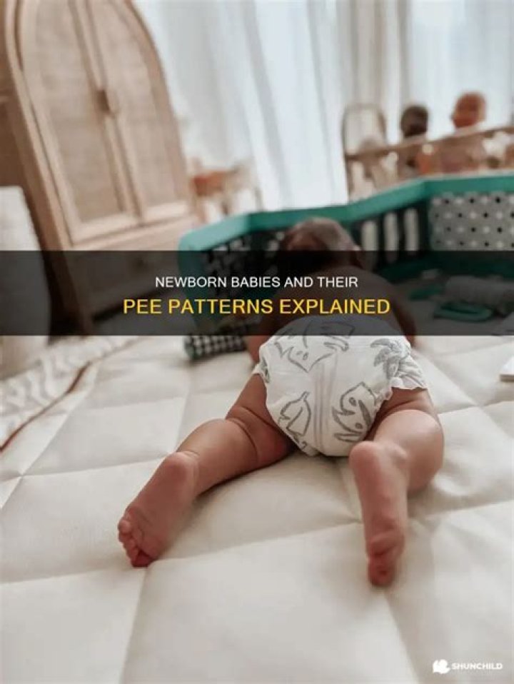 How long can babies go without peeing?