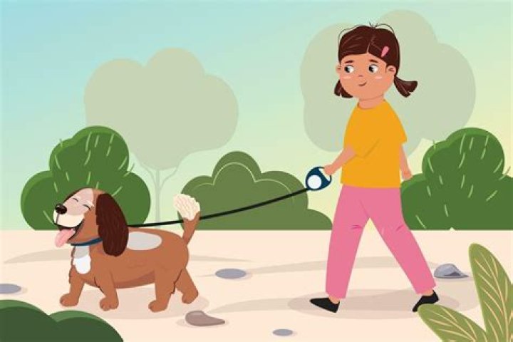 How long should I walk my dog in the morning?