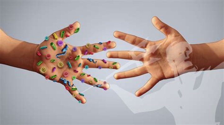 How much bacteria is on your hands?