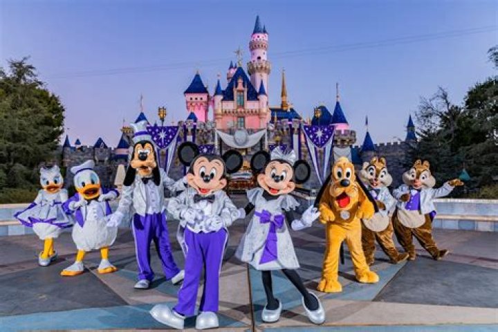 How much land is unused at Disney World?