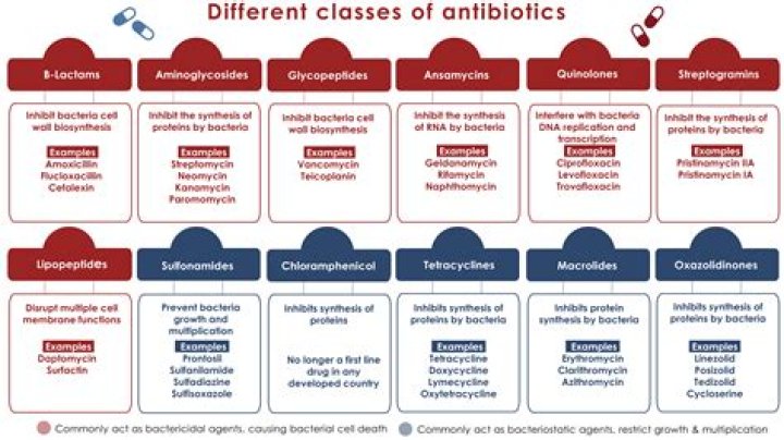 How often should antibiotics be reviewed for patients with sepsis?