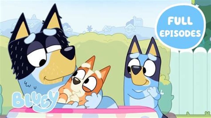 How old is Bluey in the end of camping?