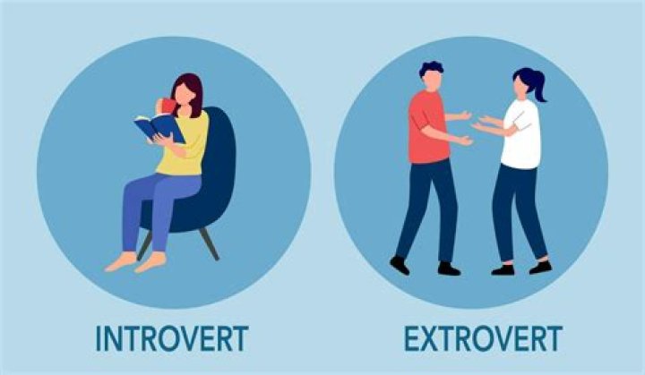 Is coding a good career for introverts?