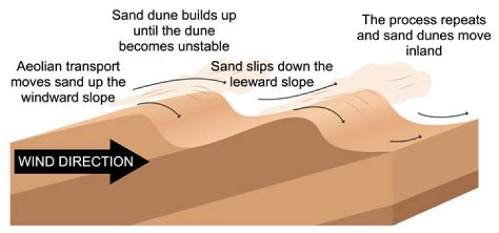 Is Dune based on Earth?