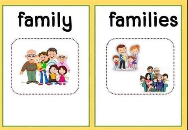 Is family singular or plural?