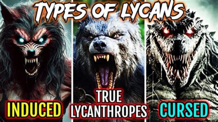 Is lycanthropy a curse?