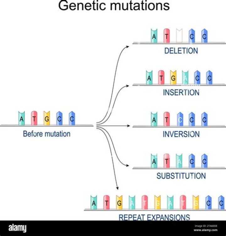 What's the difference between substitution and frameshift mutation?