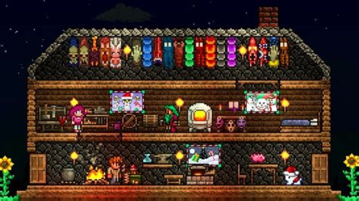 What's the rarest thing in Terraria?