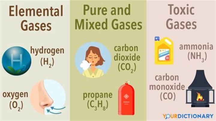 What are 3 types of gases?