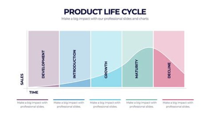 What are the 5 stages of product life cycle PDF?