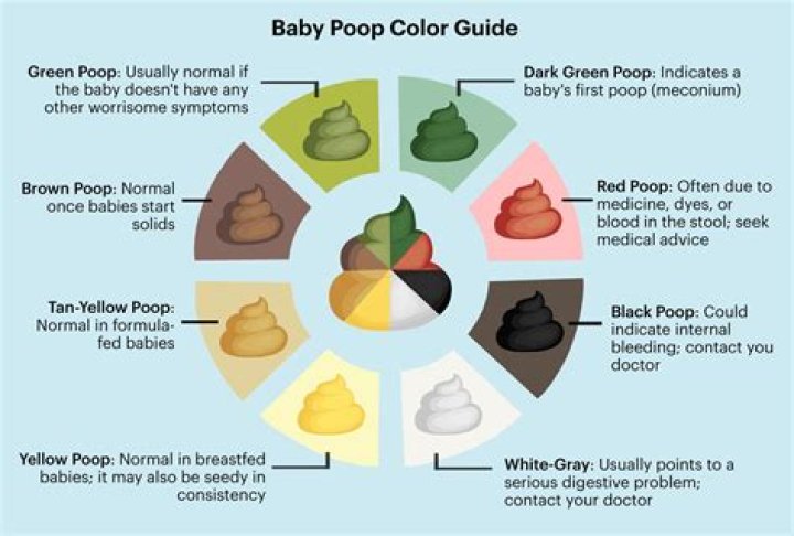 What color should my 1 year olds poop be?