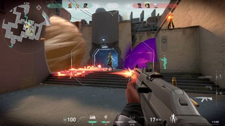 What do the pros use in COD multiplayer?