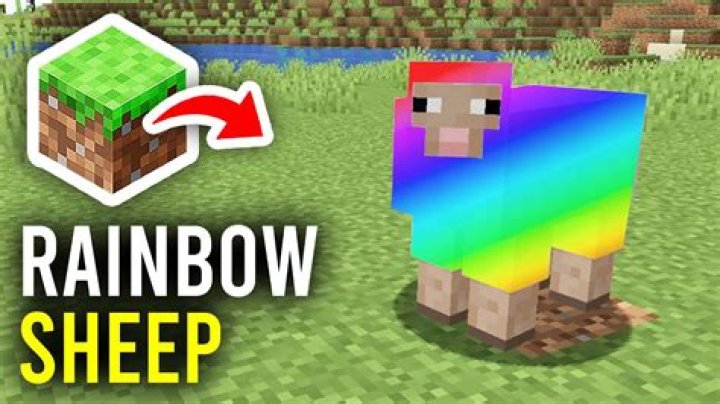 What do you name a sheep to make it rainbow in Minecraft?