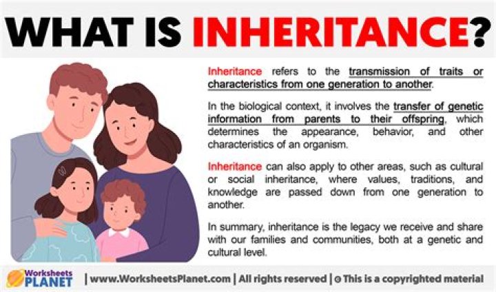 What does a wife inherit from her husband?