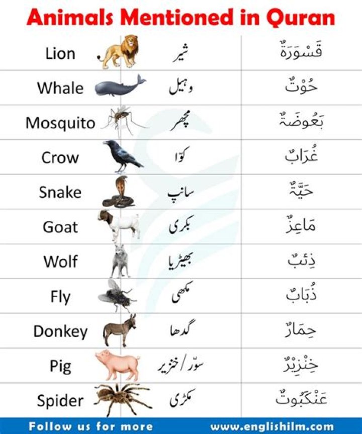 What does Hana mean in the Quran?
