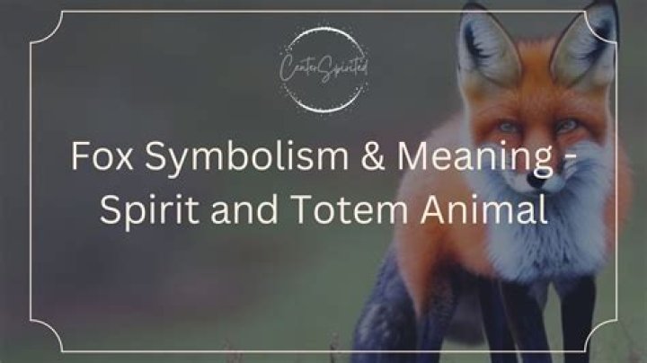 What does the fox mask mean?