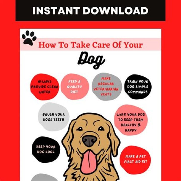 What dog is the easiest to take care of?