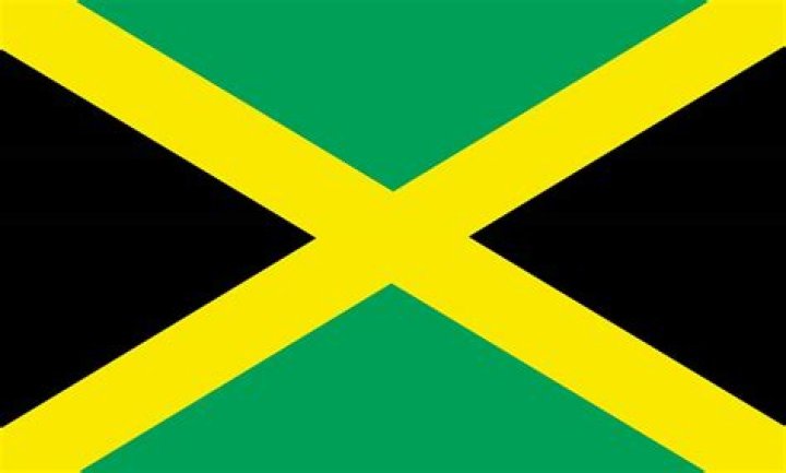 What flag is green with a yellow cross?