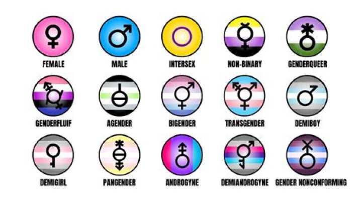 What gender is Fi?