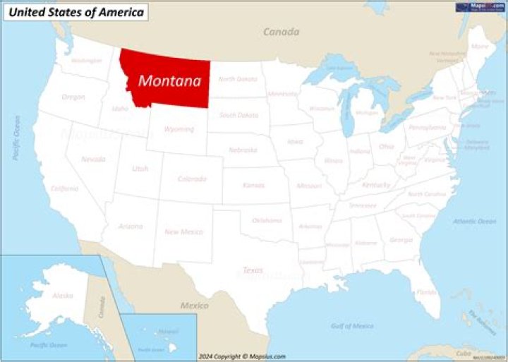 What happened to Montana from real world?