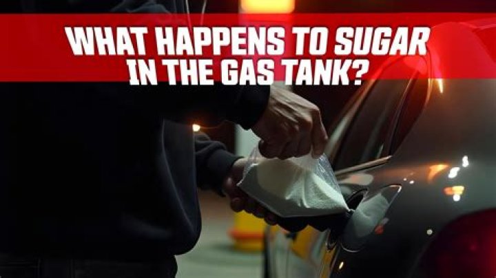 What happens if you put cooking oil in a gas tank?