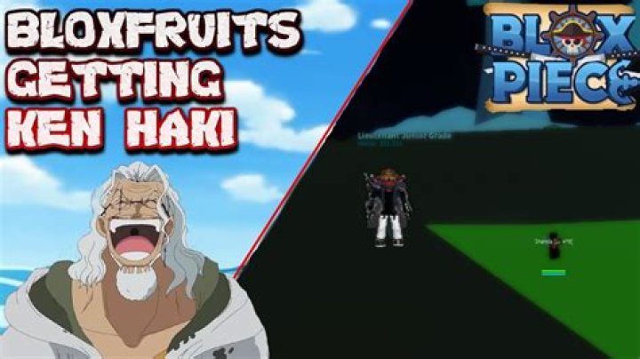 What is Ken Haki?