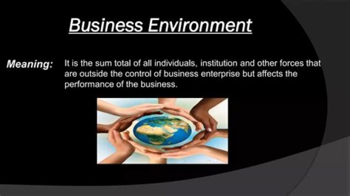 What is the meaning of business environment in 100 words?