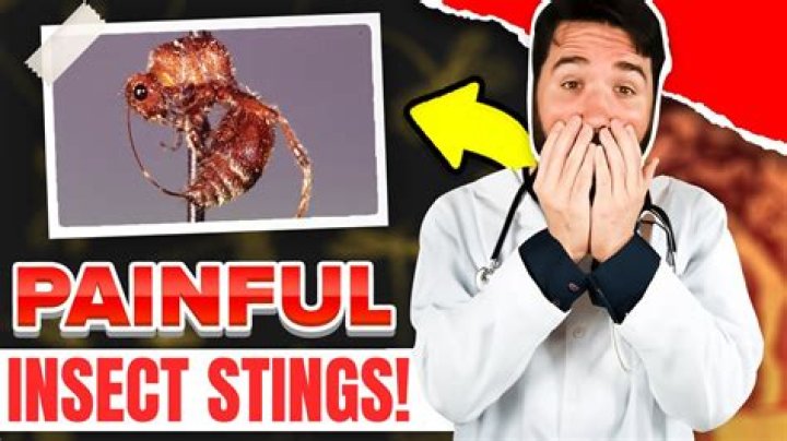 What is the most painful execution in history?